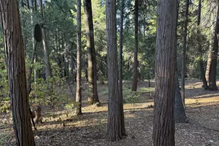 Pony Express Trail, Pollock Pines, CA 95726 - Photo 23