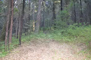 0 Lodestone Rd, Somerset, CA 95684 - Photo 1