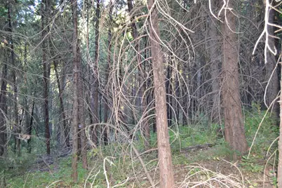 0 Lodestone Road, Somerset, CA 95684 - Photo 5