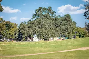 8584 Travary Way, Antelope, CA 95843 - Photo 59