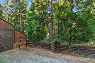 11234 Valencia Rd, Nevada City, CA 95959 - Photo 55