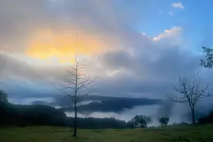 7155 Stewart Mine Rd, Placerville, CA 95667 - Photo 65