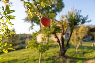 10132 Ranch Rd, Rough and Ready, CA 95975 - Photo 47