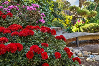 1532 Burnside Way, Stockton, CA 95207 - Photo 51