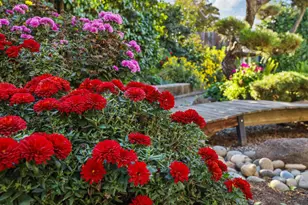 1532 Burnside Way, Stockton, CA 95207 - Photo 51