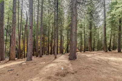 19396 Ponderosa Drive, Volcano, CA 95689 - Photo 55