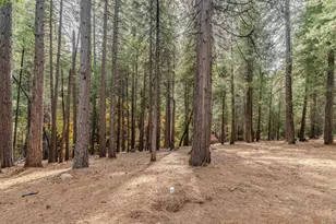 19396 Ponderosa Dr, Volcano, CA 95689 - Photo 55