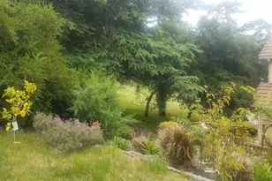 9028 Burr St, Oakland, CA 94605 - Photo 41