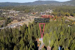 8945 Holmes Way, Brownsville, CA 95919 - Photo 47