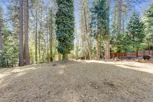 6134 Dolly Varden Ln, Pollock Pines, CA 95726 - Photo 41