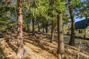 24060 Gold Cir Dr, Pioneer, CA 95666 - Photo 47