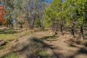 24060 Gold Cir Dr, Pioneer, CA 95666 - Photo 45