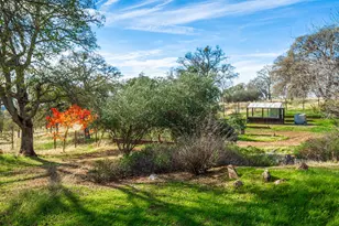 19101 Poppy Hill Ln, Plymouth, CA 95669 - Photo 59