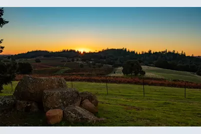 12551 Steiner Road, Plymouth, CA 95669 - Photo 11