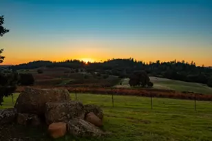 12551 Steiner Rd, Plymouth, CA 95669 - Photo 11