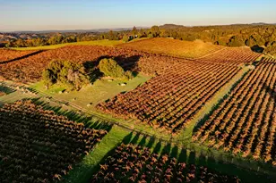 12551 Steiner Rd, Plymouth, CA 95669 - Photo 19