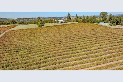 12551 Steiner Road, Plymouth, CA 95669 - Photo 7