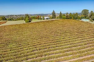 12551 Steiner Rd, Plymouth, CA 95669 - Photo 7