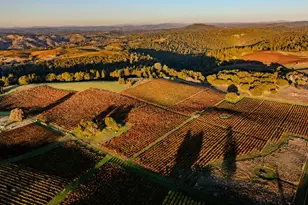 12551 Steiner Rd, Plymouth, CA 95669 - Photo 17