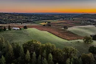 12551 Steiner Rd, Plymouth, CA 95669 - Photo 15