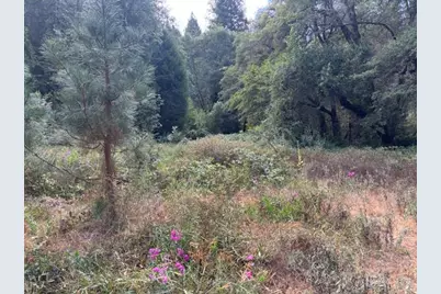 2936 Independence Road, Rail Road Flat, CA 95245 - Photo 31