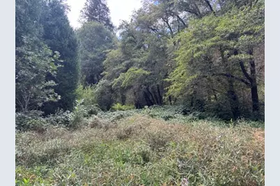 2936 Independence Road, Rail Road Flat, CA 95245 - Photo 19