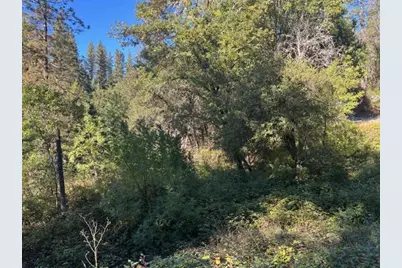 2936 Independence Road, Rail Road Flat, CA 95245 - Photo 9