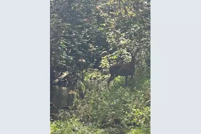 2936 Independence Road, Rail Road Flat, CA 95245 - Photo 3