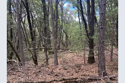 16272 Highway 26, Glencoe, CA 95232 - Photo 7