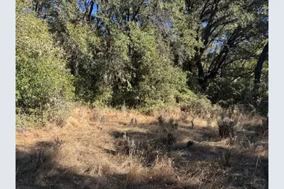 16272 Highway 26, Glencoe, CA 95232 - Photo 29