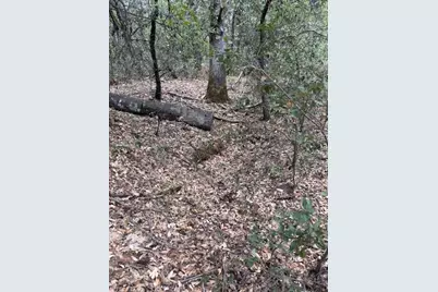 16272 Highway 26, Glencoe, CA 95232 - Photo 5