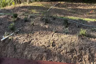 8415 Winding Way, Fair Oaks, CA 95628 - Photo 25