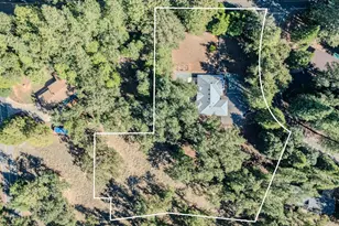 16689 Silver Pine Rd, Pioneer, CA 95666 - Photo 49