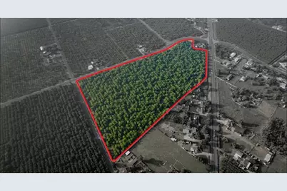 10221 E Baker Road, Stockton, CA 95215 - Photo 5