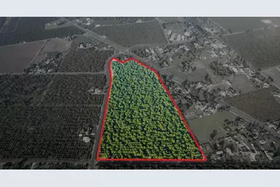 10221 E Baker Road, Stockton, CA 95215 - Photo 3