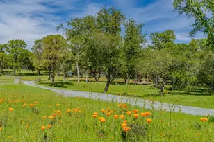 10690 White Oak Rd, Plymouth, CA 95669 - Photo 39