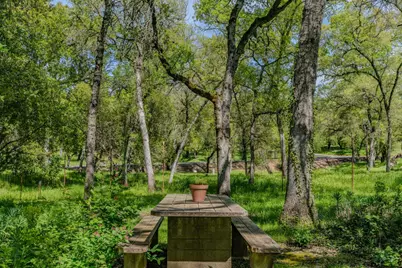 10690 White Oak Road, Plymouth, CA 95669 - Photo 11