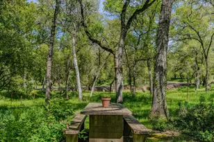 10690 White Oak Rd, Plymouth, CA 95669 - Photo 47