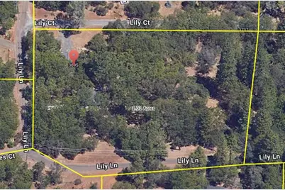 3695 Lily Lane, Shingle Springs, CA 95682 - Photo 5