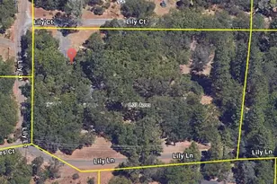 3695 Lily Ln, Shingle Springs, CA 95682 - Photo 5