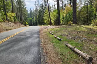 13786 Moonshine Rd, Camptonville, CA 95922 - Photo 9