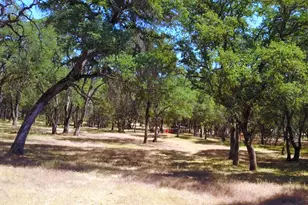 7501 Redhill Way, Browns Valley, CA 95918 - Photo 35