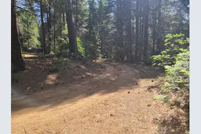 18200 Holley Ravine Road, Nevada City, CA 95959 - Photo 11