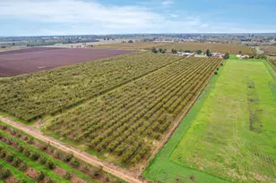 5766 N Alpine Rd, Stockton, CA 95215 - Photo 19