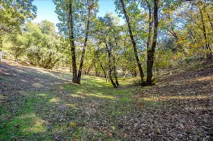 20860 Pinehurst Ln, Colfax, CA 95713 - Photo 79