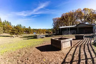 33 Stanley Rd, West Point, CA 95255 - Photo 49