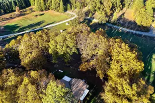 33 Stanley Rd, West Point, CA 95255 - Photo 51