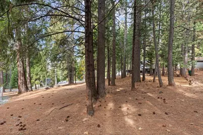 5360 Pine Ridge Drive, Grizzly Flats, CA 95636 - Photo 31