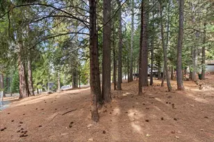 5360 Pine Ridge Dr, Grizzly Flats, CA 95636 - Photo 31