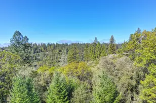 19740 Wedemeyer Pl, Colfax, CA 95713 - Photo 51